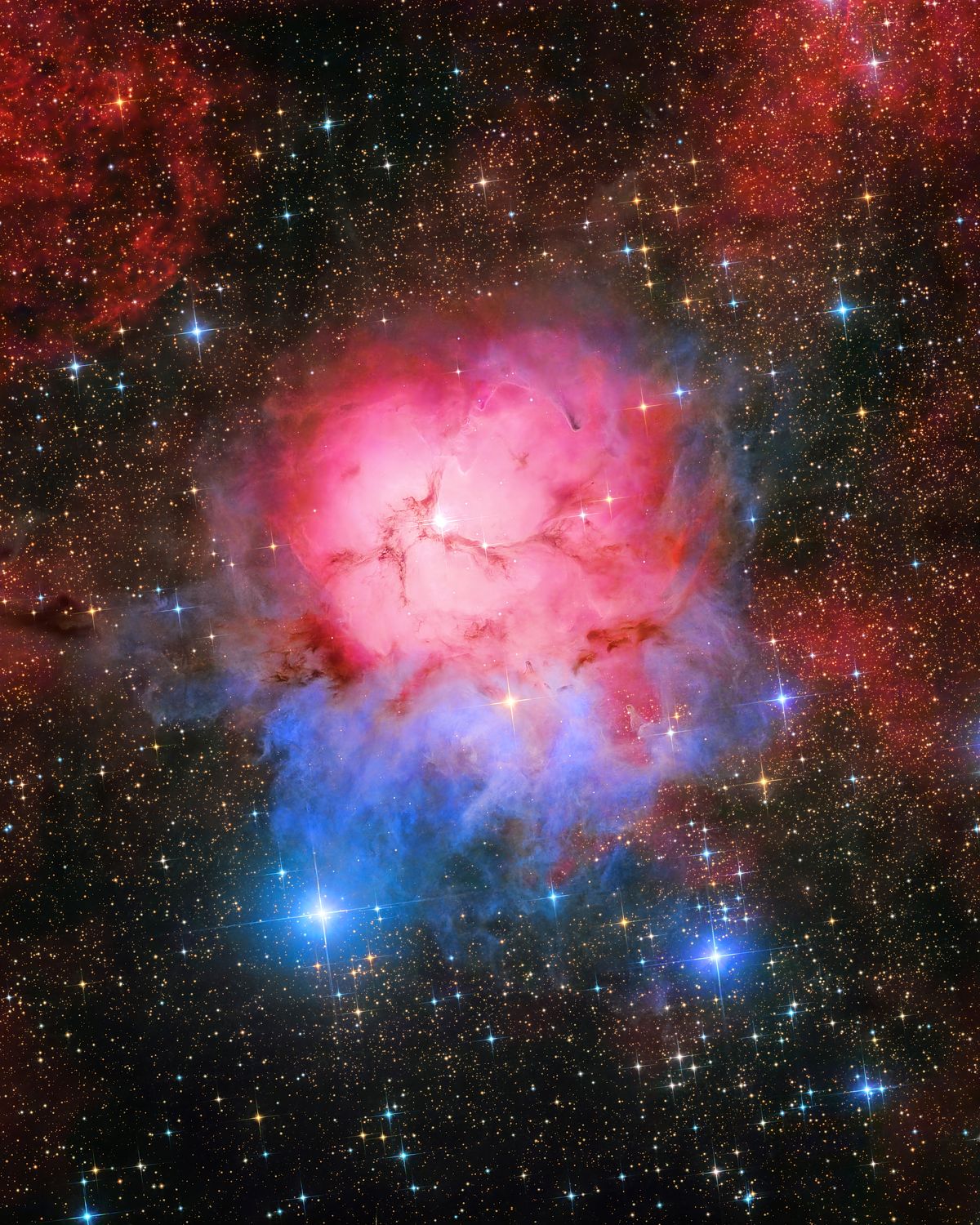 Sagittarian Bloom