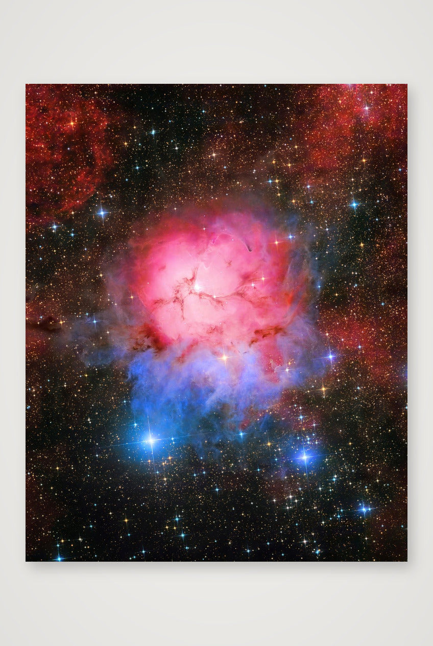 Sagittarian Bloom — 40×50cm, 16×20" Print only